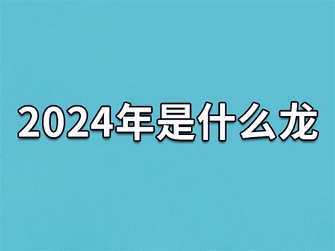 2024年是什么年